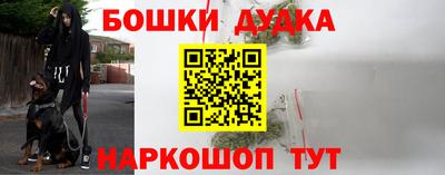 mdpv Партизанск