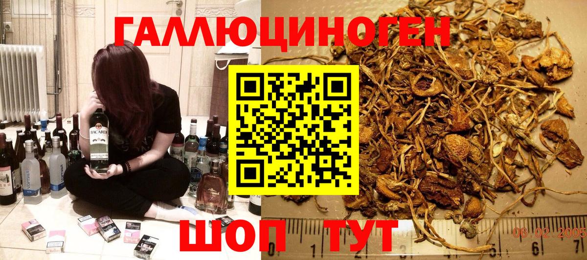 Галлюциногенные грибы Cubensis Советский