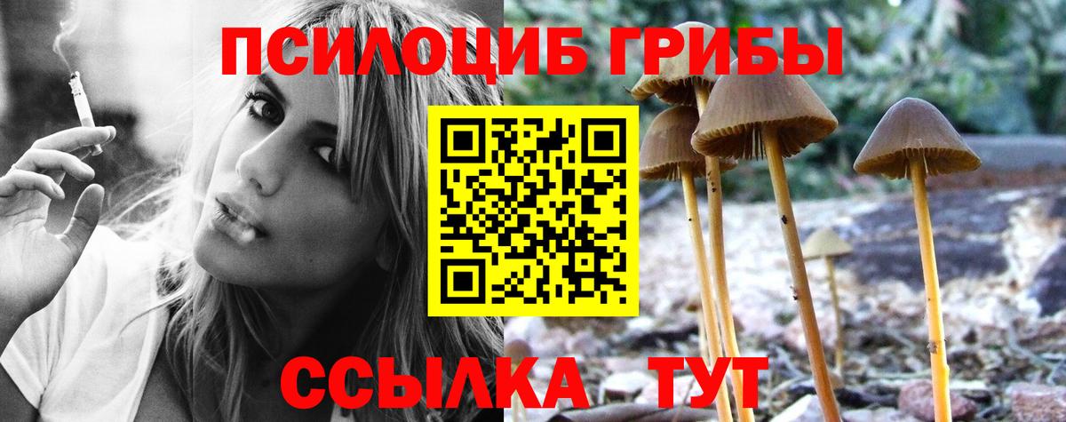 Советский  Псилоцибиновые грибы Psilocybine cubensis  Вход с VPN 